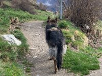 Shani